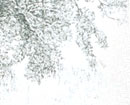 ink landscape Artist Kay Harden - Ink drawing of tree end of image collage